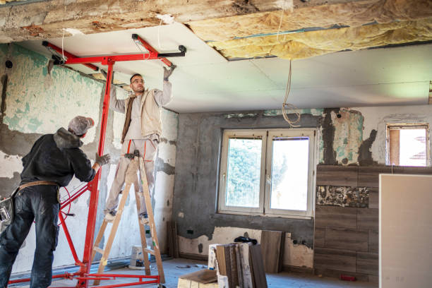 Best Attic Insulation Near Me  in Roanoke, VA