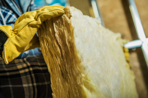 Best Spray Foam Insulation  in Roanoke, VA