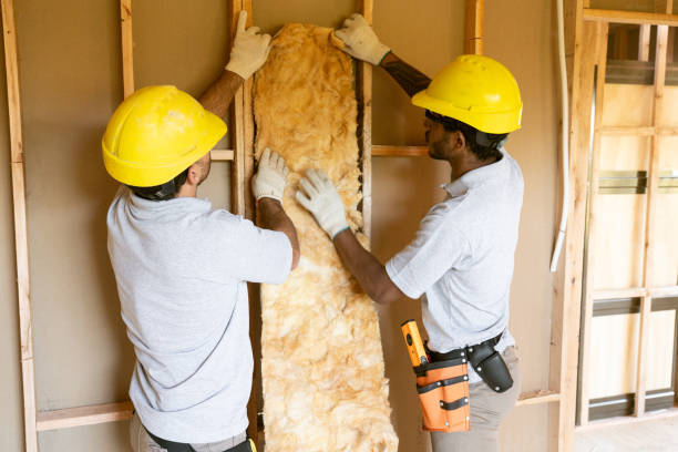  Roanoke, VA Insulation Contractor Pros