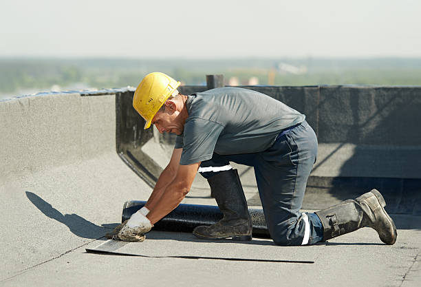 Best Fiberglass Insulation  in Roanoke, VA